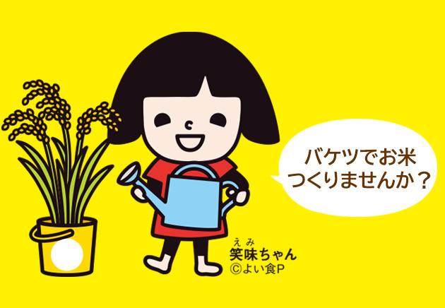 バケツ稲づくりを体験してみませんか？