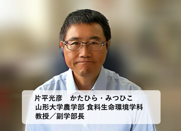 先端農業とスマート化技術