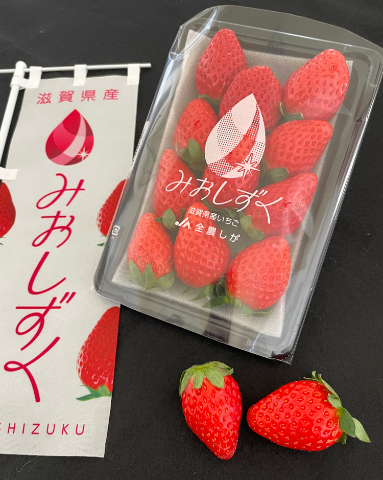 第39回　琵琶湖を守る営農の実践／農家所得増大へ新品種の導入も