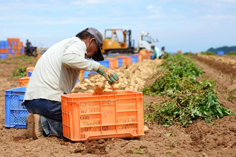 第43回　地域農業振興へ方向性模索／確かな経営基盤で組合員支援を