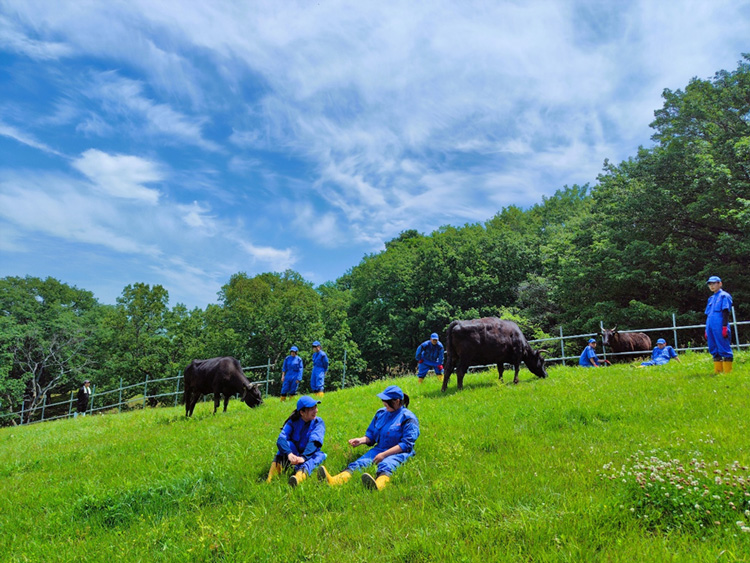第7回（2023年度）全国高校生 農業アクション大賞　大賞受賞　災害から牛守る