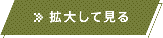 拡大してみる